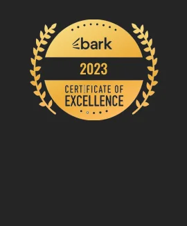 showing certificate of excellence we won from Bark in 2023